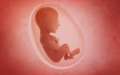 Los bebés pueden recibir partículas contaminantes del aire desde el vientre materno.