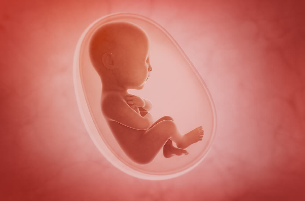 Los bebés pueden recibir partículas contaminantes del aire desde el vientre materno.